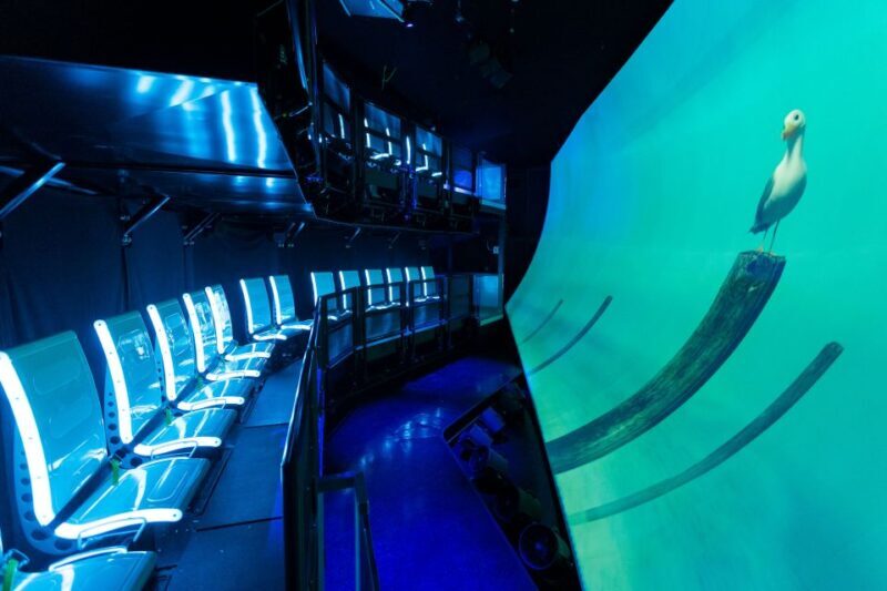 San Francisco: PIER 39 Flyer, 7D Ride, & Laser Maze Ticket - In-Depth Look at the Experience