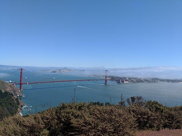 San Francisco Private City Tour - The Reviews: What Others Are Saying