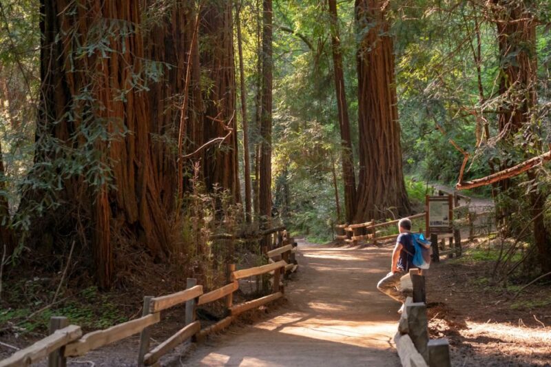 San Francisco: Private Muir Woods and Sausalito Tour - Who Should Consider This Tour?