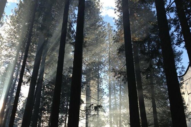 San Francisco Private Tour: Hidden Gems & Highlights by a Local - A Closer Look at the Tour Experience