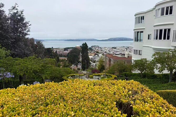 San Francisco, Redwoods & Sausalito: A Scenic Small-Group Escape - The Sum Up