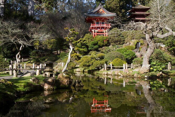 San Francisco: Scenic Surrey Ride Through Golden Gate Park - Final Thoughts on the Surrey Ride Experience