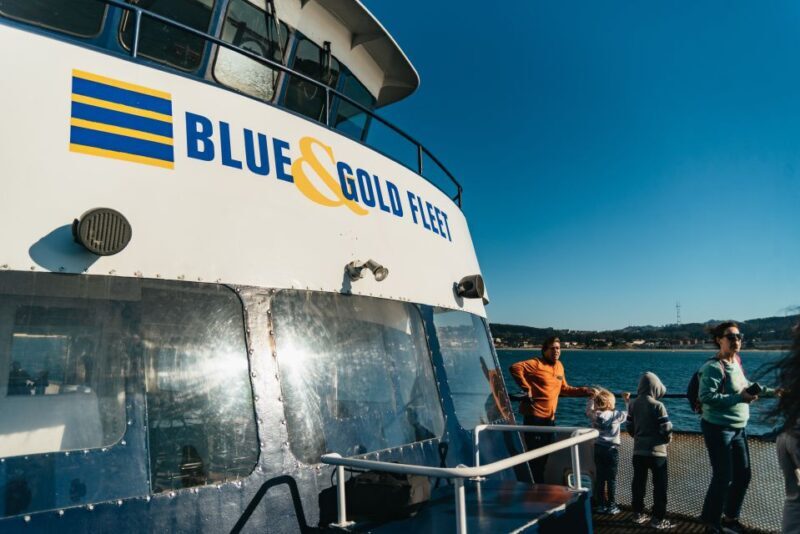 San Francisco: Skip-the-Line 1-Hour Bay Cruise by Boat - Overview of the Bay Cruise Experience