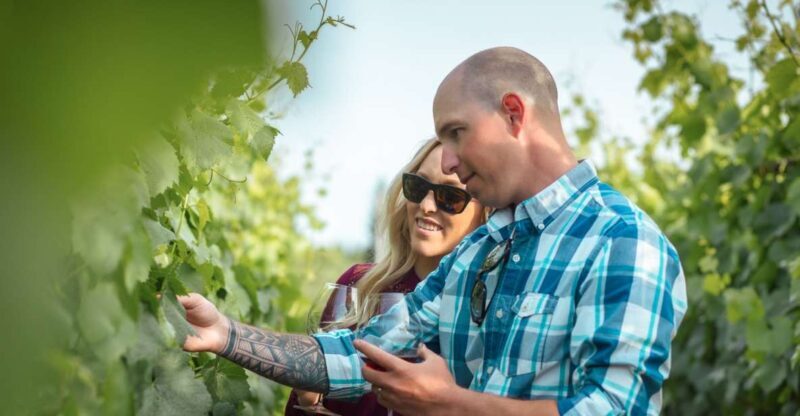 San Francisco: Sonoma Wine Country Tour with Tastings - An Overview of the Experience