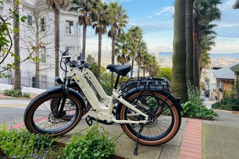 San Francisco: Summer of Love Guided eBike Tour - A Close Look at the Tour Itself