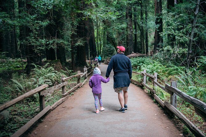San Francisco Super Saver: Muir Woods & Wine Country w/ optional Gourmet Lunch - A Deep Dive into the Experience