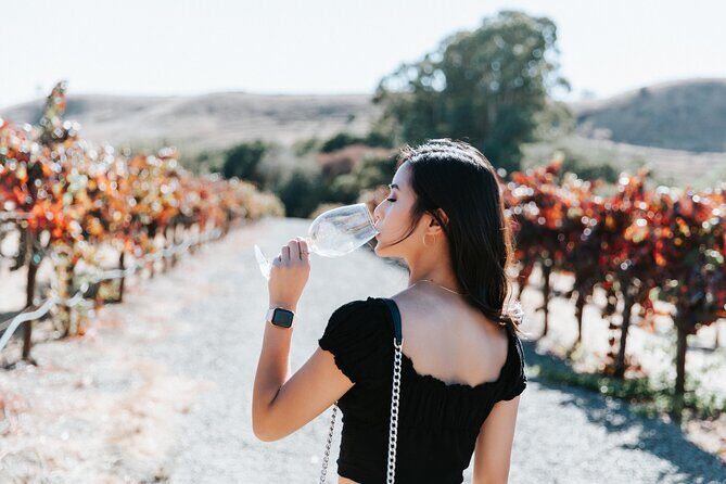 San Francisco Super Saver: Muir Woods & Wine Country w/ optional Gourmet Lunch - Who Will Love This Tour?