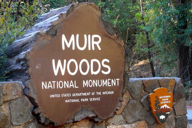 San Francisco to Muir Woods Cycling Tour - A Closer Look at the Tour Itinerary