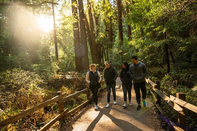 San Francisco to Muir Woods Shuttle - The Experience in Practice: What Travelers Say