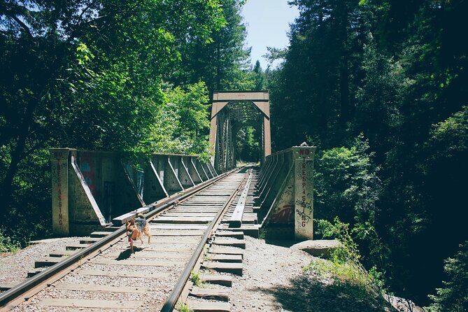 San Francisco to Santa Cruz Day Trip: Redwoods and Beach Fun - An In-Depth Look at the Tour Experience
