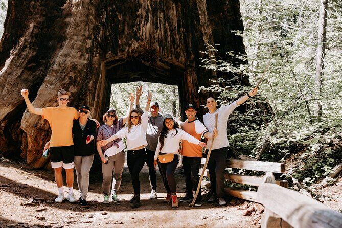 San Francisco to Yosemite One-Way Transfer - Key Points