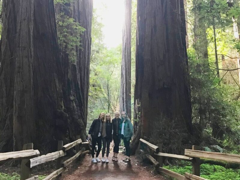 San Francisco Tour to Muir Woods Giant Redwoods & Sausalito - Real Traveler Feedback: Authentic Impressions