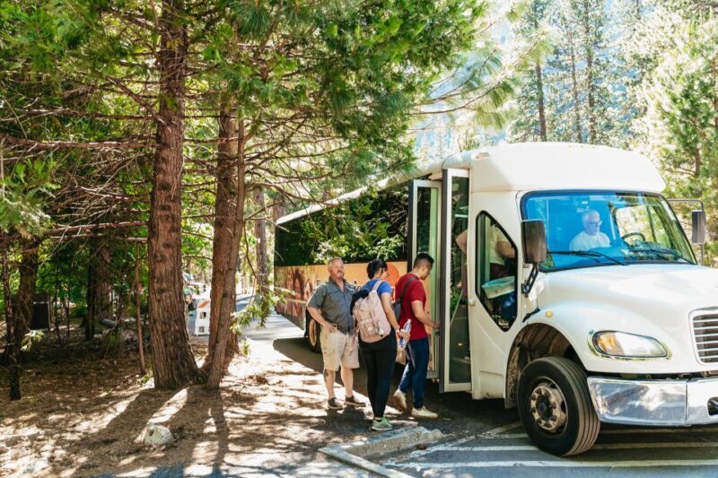 San Francisco: Yosemite National Park & Giant Sequoias Hike - An Honest Look at the Yosemite Day Trip