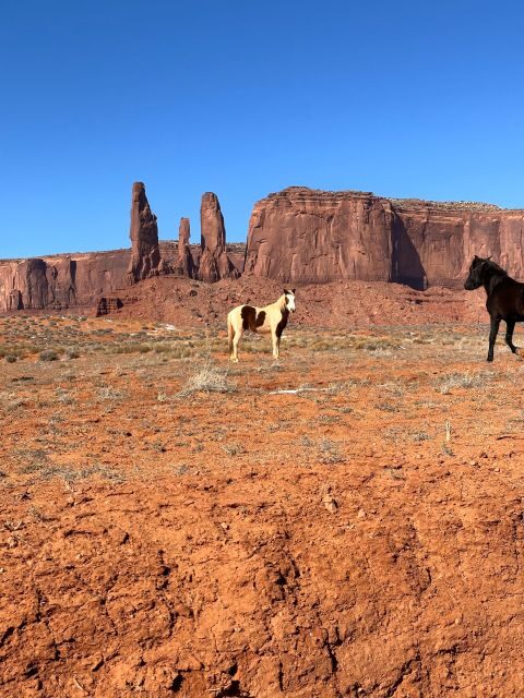 San Francisco: Yosemite, Vegas, Sedona, Antelope, 7-Day Tour - Hoover Dam: Engineering Marvel and Historic Site