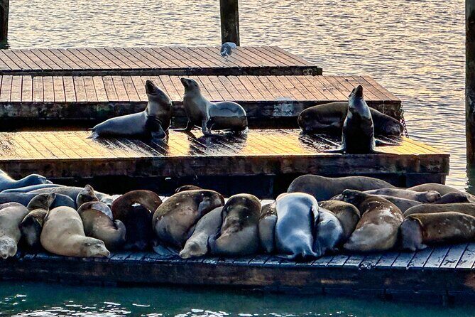 San Francisco's Fisherman's Wharf Self Guided Walking Tour - FAQs