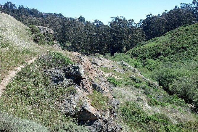 San Francisco's Glen Park and Glen Canyon: A Self-Guided Tour - Key Points