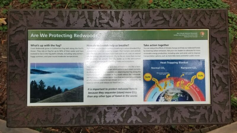 San Fransico: Muir Woods & Marin Headlands Private Tour - The Itinerary in Detail: What You Can Expect