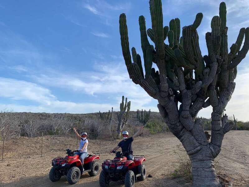 San José del Cabo: 2-Hour ATV Tour - An In-Depth Look at the San José del Cabo ATV Experience