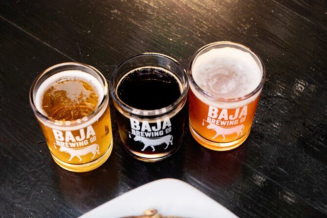 San Jose del Cabo Art Walk, Beer Tasting &Chocolate Demonstration - Final Thoughts