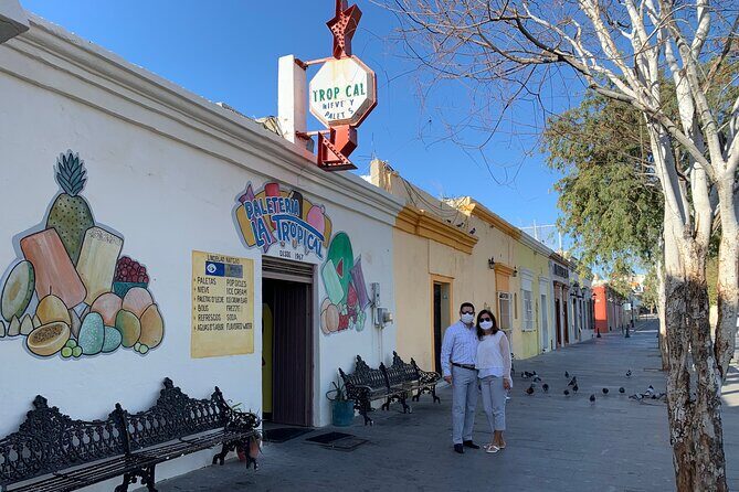 San Jose del Cabo Historic District Walking Tour - Practical Tips for Participants
