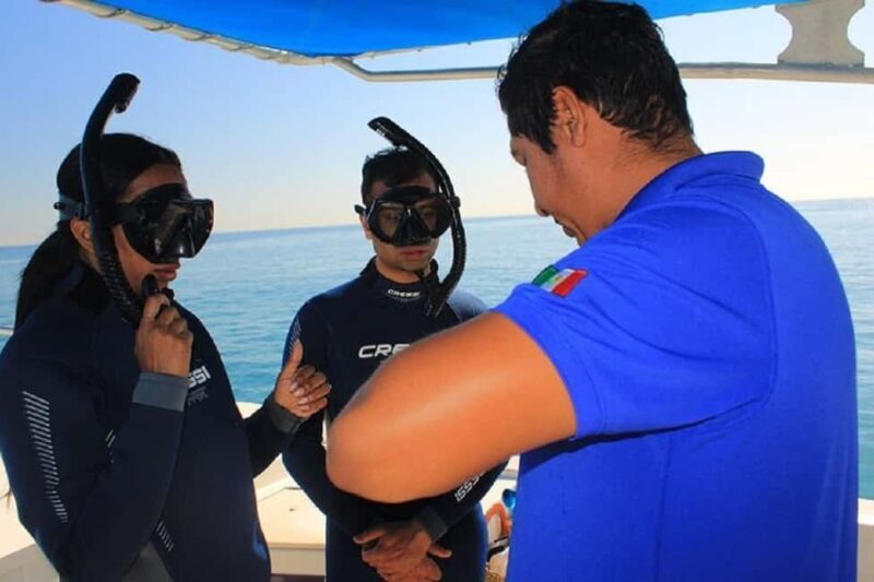 San José del Cabo: Private Snorkeling - An In-Depth Look at the Experience
