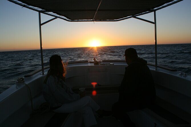 San Jose del Cabo Small-Group Sunrise Whale Watching - Key Points