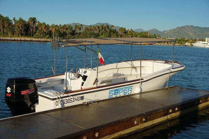 San Jose del Cabo Small-Group Sunrise Whale Watching - Practical Details and Value