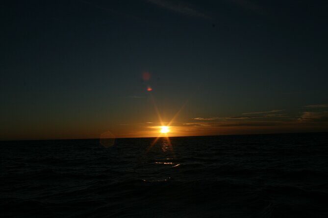 San Jose del Cabo Small-Group Sunrise Whale Watching - What to Expect on the Water