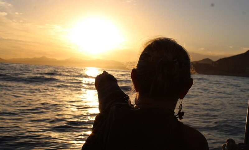 San Jose del Cabo Sunset Whale Watching - An In-Depth Look at the Experience