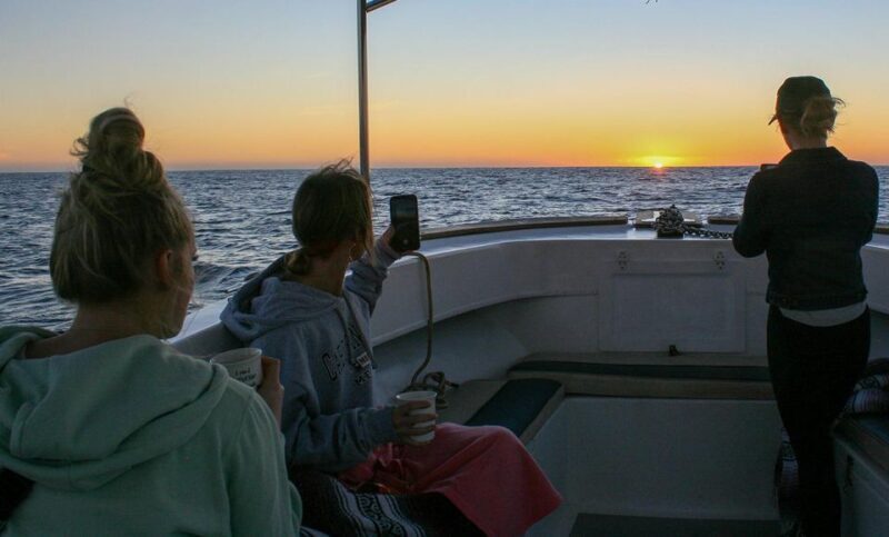 San Jose del Cabo Whale Watching Sunrise Tour - Authentic Experiences and Practical Tips