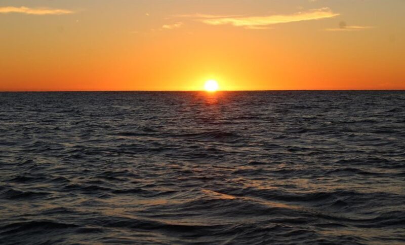 San Jose del Cabo Whale Watching Sunrise Tour - Final Thoughts: Is This Tour Right for You?
