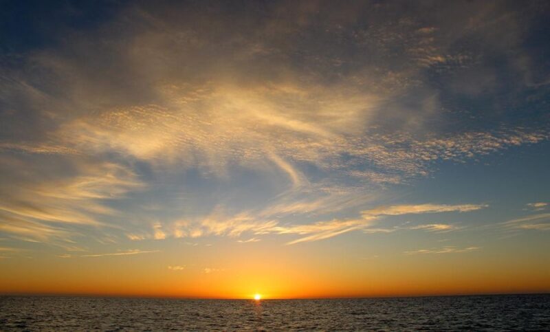 San Jose del Cabo Whale Watching Sunrise Tour - FAQ