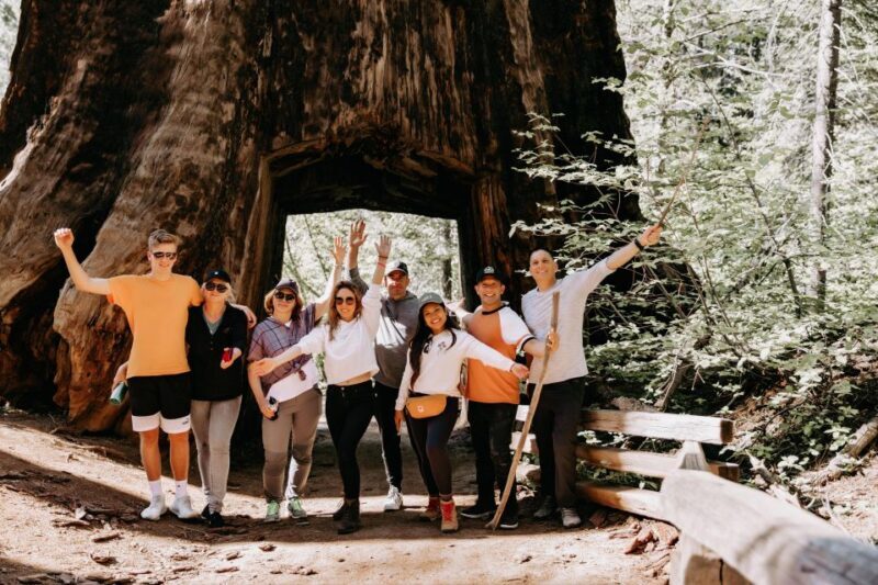 San Jose: Yosemite National Park and Giant Sequoias Trip - Pricing and Value