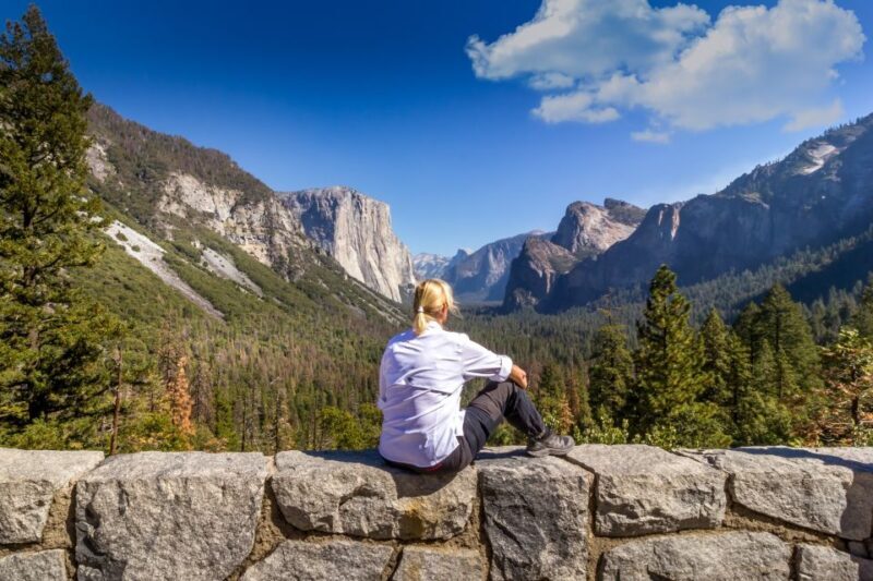 San Jose: Yosemite National Park and Giant Sequoias Trip - Who Should Consider This Tour?