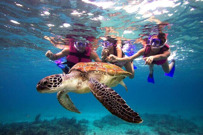 San Juan Guided Snorkeling Experience - With Transport 8am or 3pm - A Detailed Look at the Snorkeling Tour in San Juan