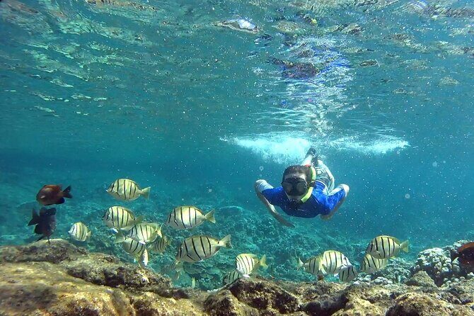 San Juan Guided Snorkeling Experience - With Transport 8am or 3pm - FAQ