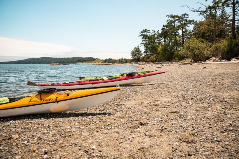 San Juan Island: 3-h Griffin Bay Tour - Key Points