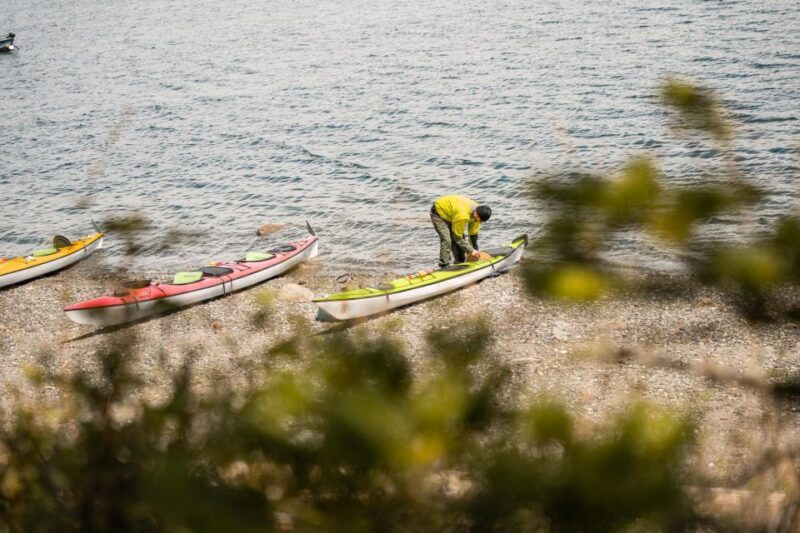 San Juan Island: 3-h Griffin Bay Tour - The Sum Up