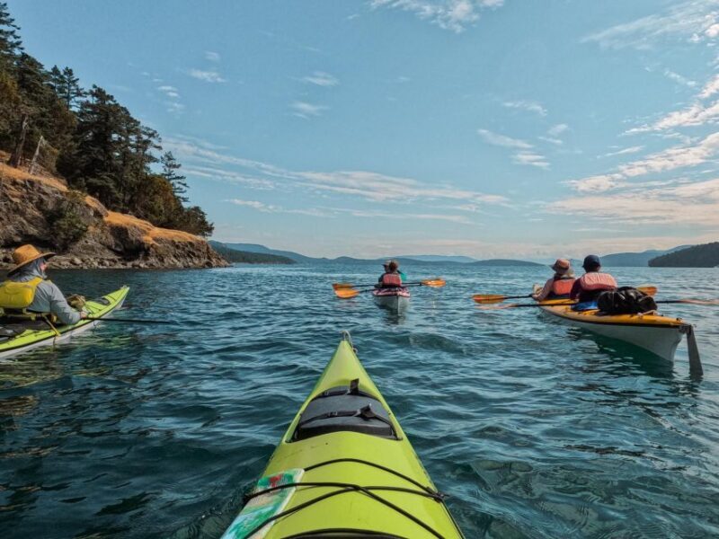 San Juan Island: 3-h Griffin Bay Tour - FAQ