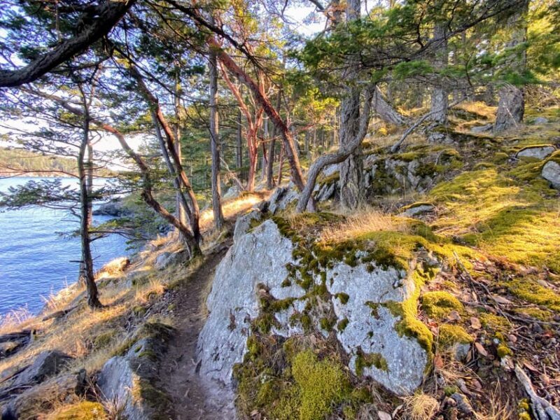 San Juan Island: Full Day Kayaking Tour with Lunch - Practical Considerations