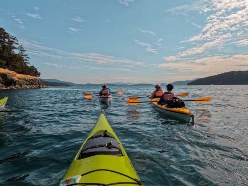 San Juan Island: Half- or Full-Day Lime Kiln Kayak Tour - A Closer Look at the San Juan Lime Kiln Kayak Tour
