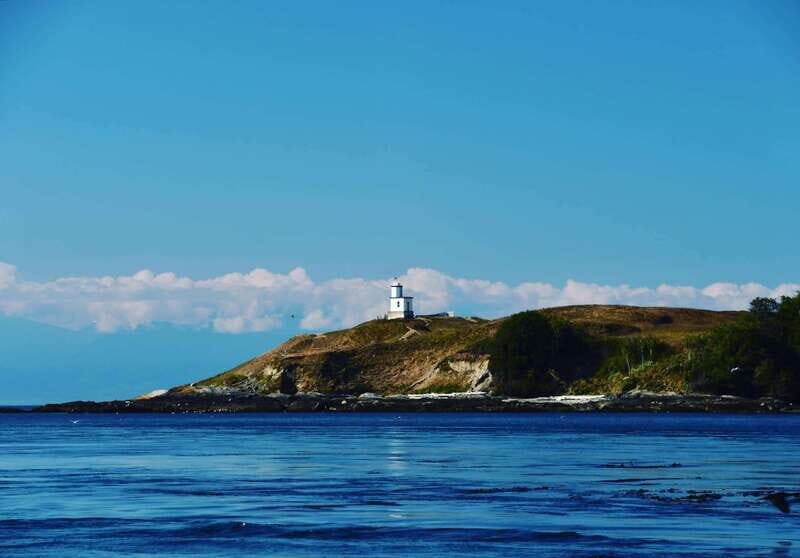 San Juan Islands: 3 Day Kayak and Camping Adventure - The Sum Up: Who’s This Tour For?