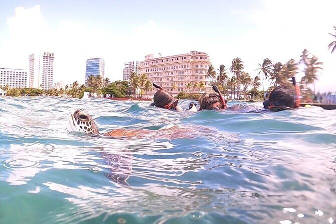 San Juan: Kids and Family Snorkeling Adventure with Videos - Final Thoughts: Is This Tour Worth It?