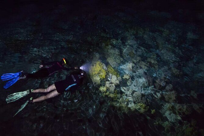 San Juan LED Night Snorkel - What to Expect During the Tour