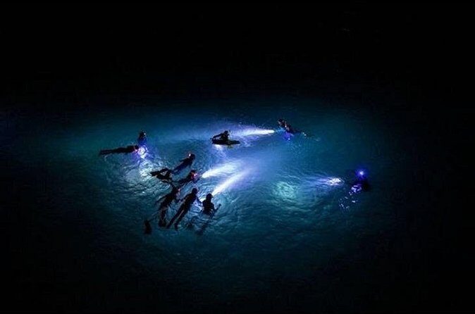 San Juan LED Night Snorkel - Final Words
