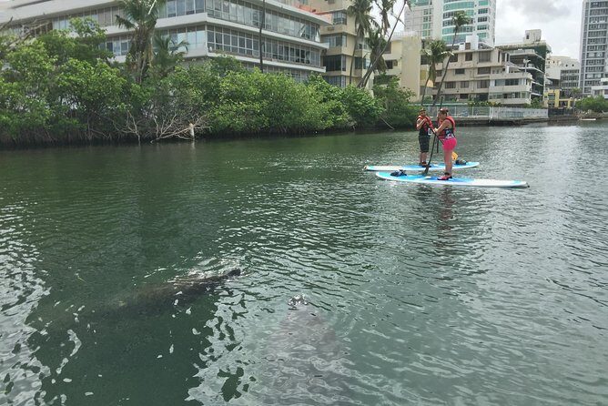 San Juan | Paddleboard | Kayak | Snorkeling | Guided Tours - FAQ