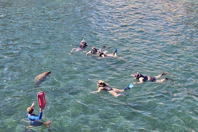 San Juan Snorkel with Turtles and Manatee's; Free Video and Rum! - Why Is This Tour a Great Choice?