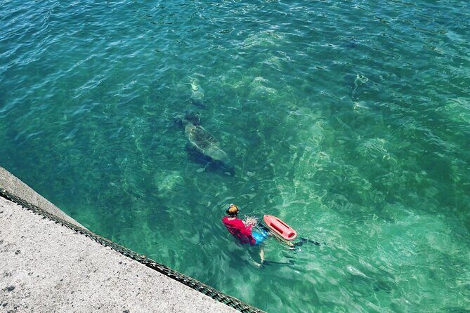 San Juan Snorkel with Turtles and Manatee's; Free Video and Rum! - The Sum Up