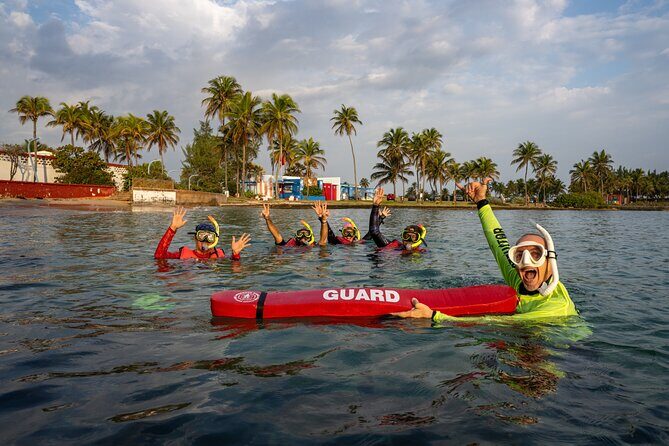 San Juan Snorkeling Tour with Fish and Turtles - Key Points
