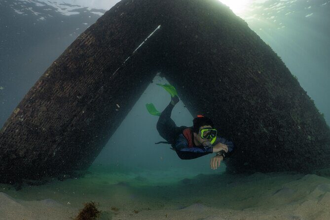 San Juan Snorkeling Tour with Fish and Turtles - Authentic Experiences and Reviews